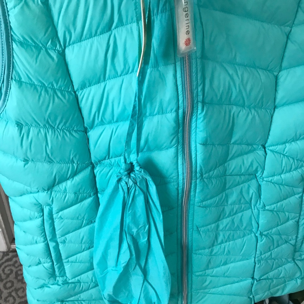 Blue vest
